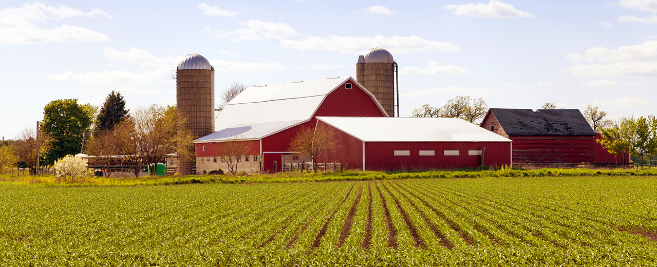 MAXXUM 100 Fermes et terres à vendre