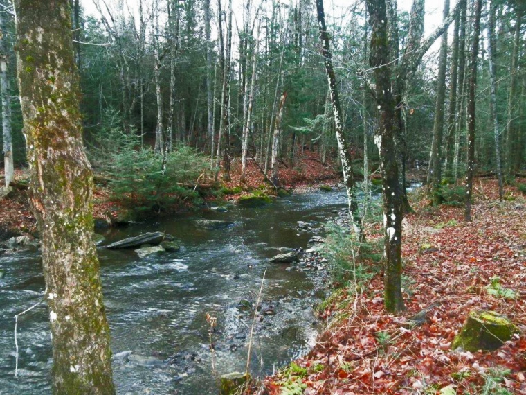 terres pour chasse à vendre Plusieurs terres pour la chasse à vendre