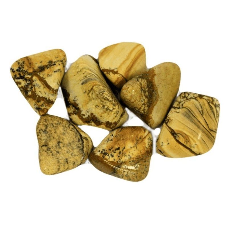 Pustynia Kalahari Maya Boo