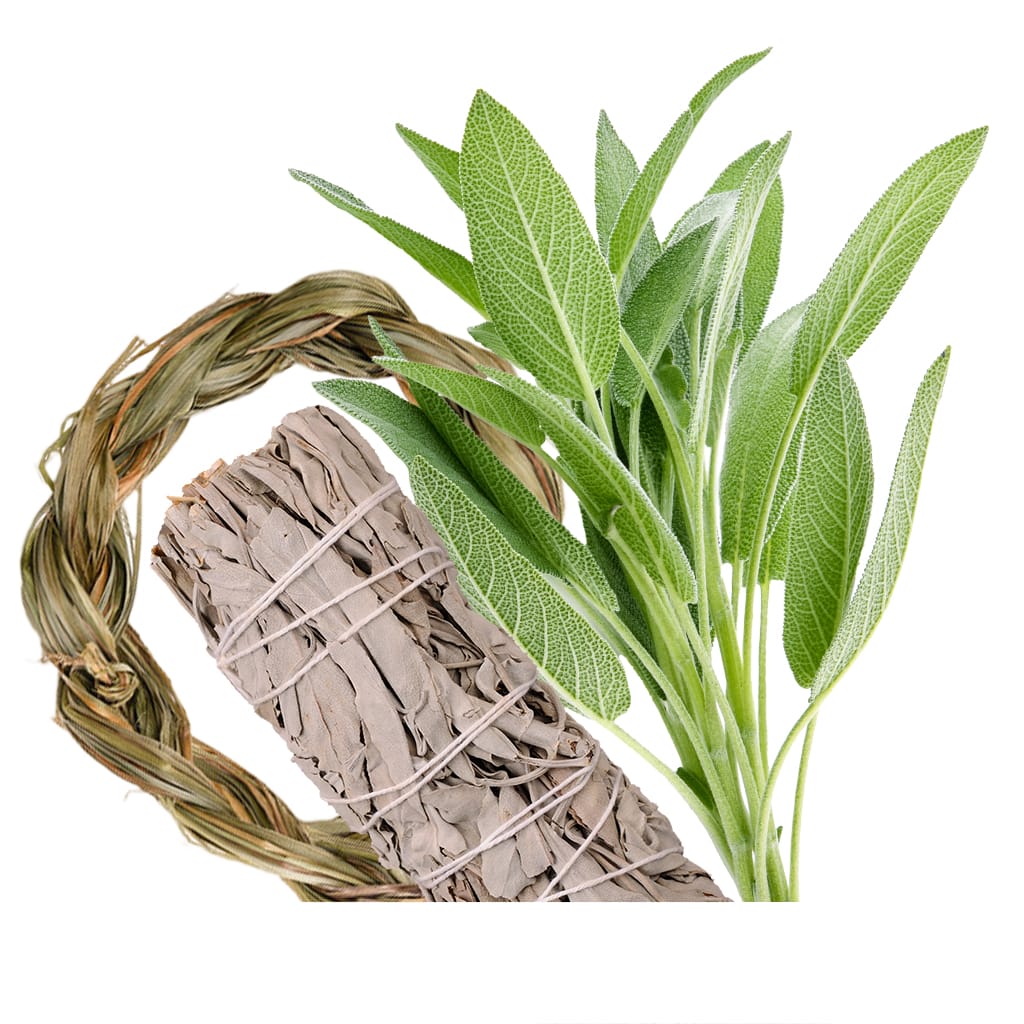 Aromatic Herbs for Incense MAYA Ethnobotanicals