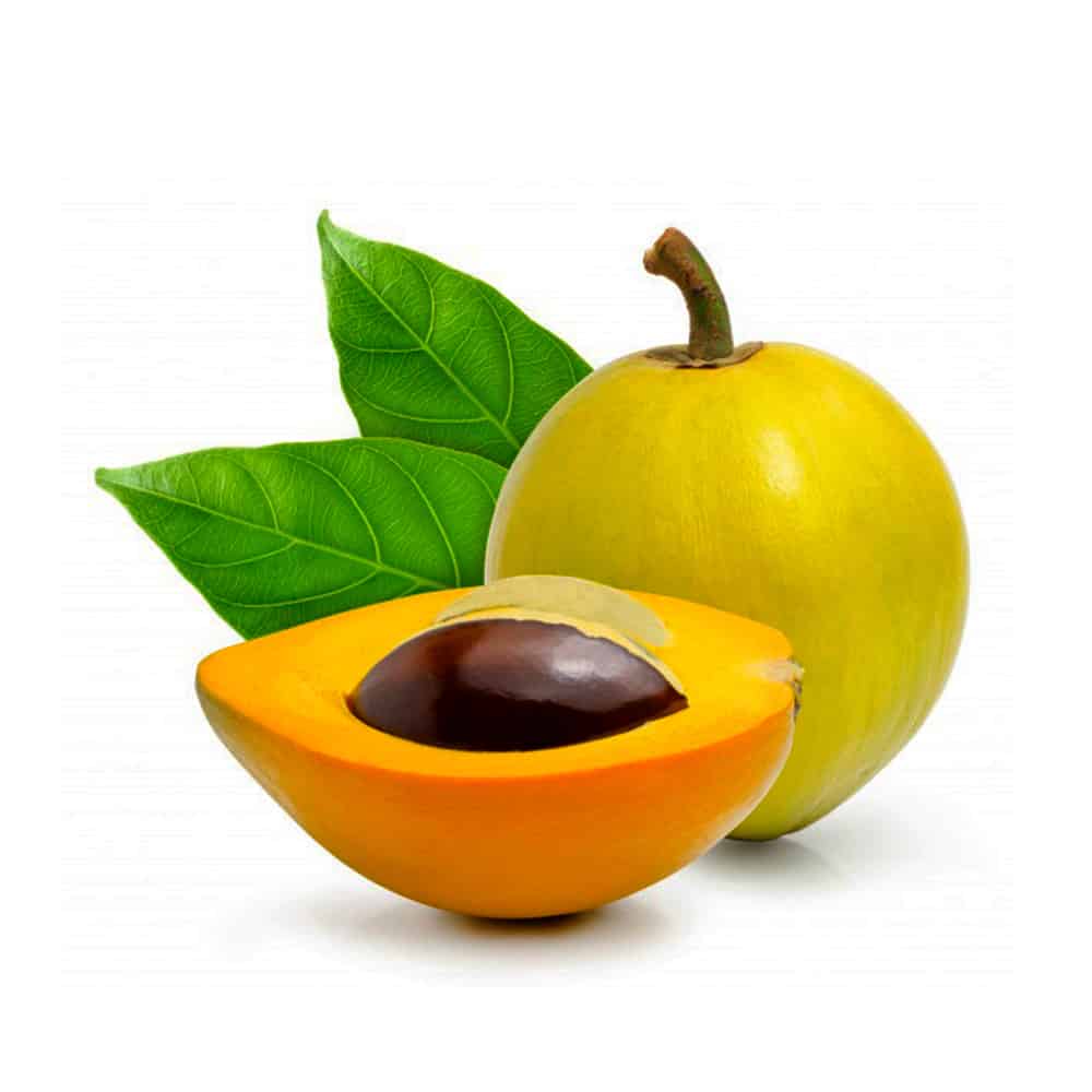 LUCUMA FOR SALE (Pouteria Lucuma) Powder Mayantop Store