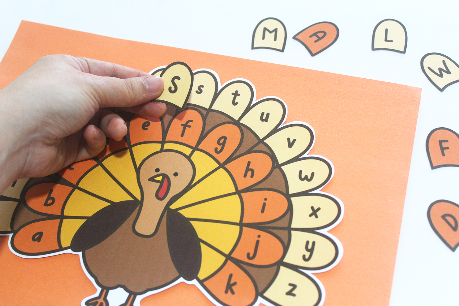 Make a DIY Turkey Letter Matching Game at Home Free Printable