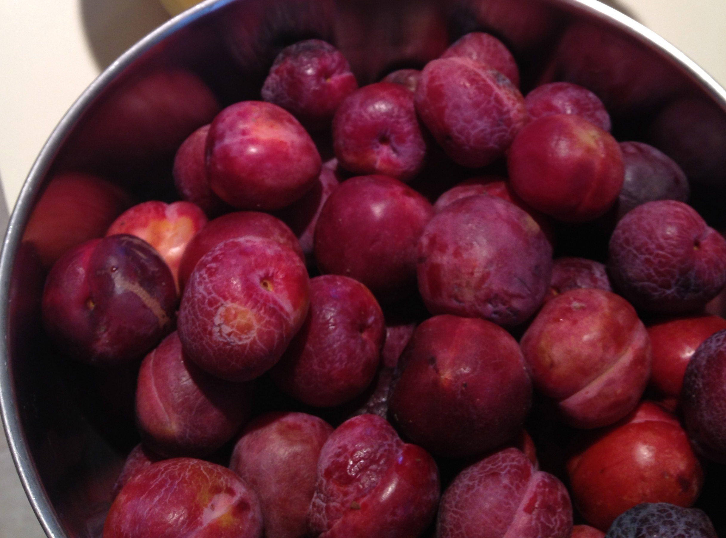 301 Moved Permanently