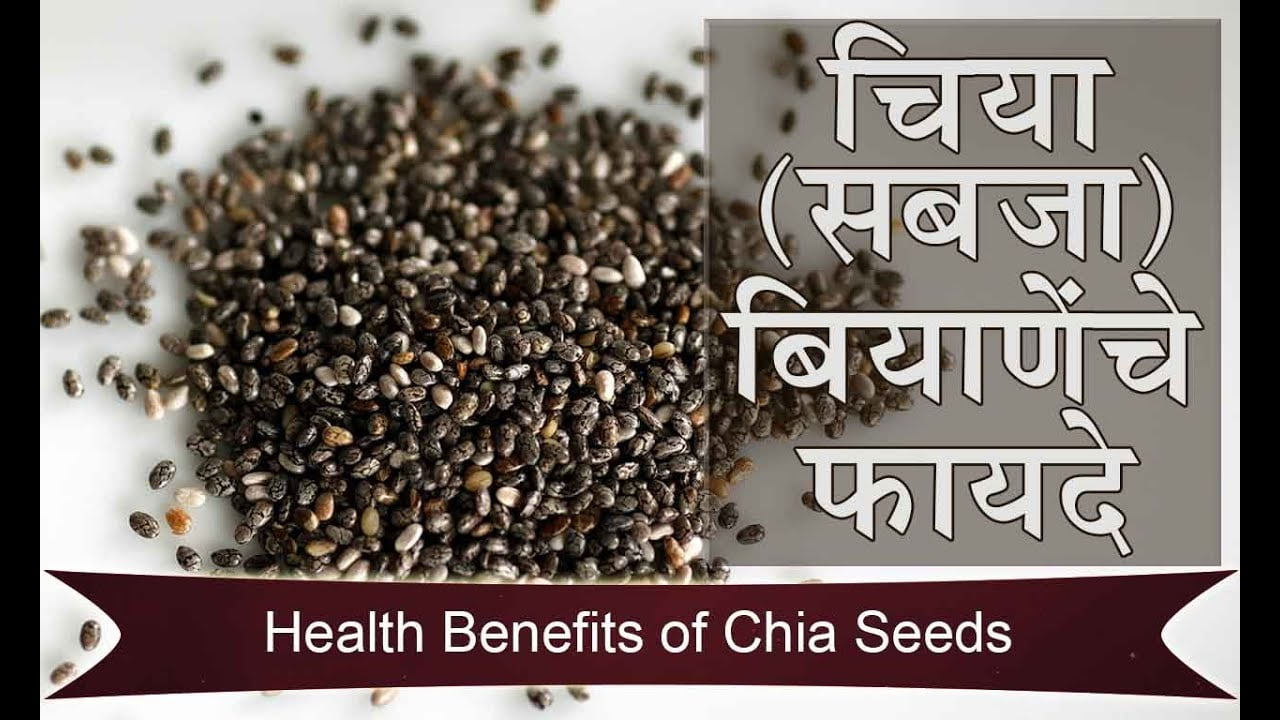 Chia Seeds Meaning in Marathi चिया सिड्स ला मराठी मध्ये काय म्हणतात