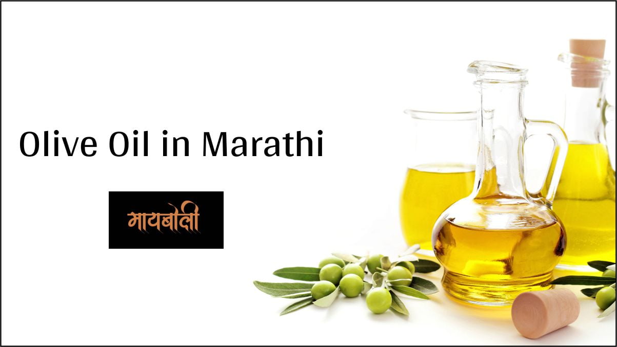 Olive Oil Meaning in Marathi ऑलिव्ह ऑईल म्हणजे काय? Mayboli.in