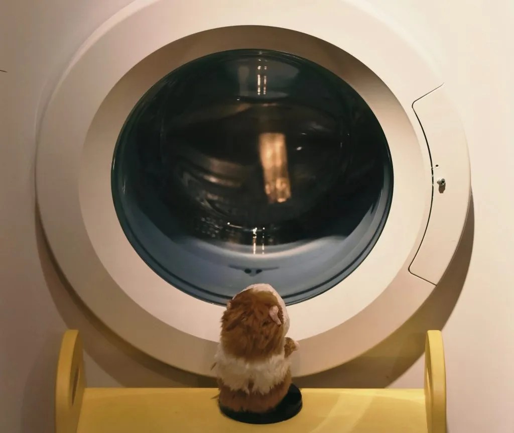 How to Unclog the Drain of a Washing Machine Maydone