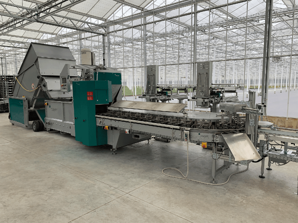 Referenzen Mayer Gruppe / Mayer Group