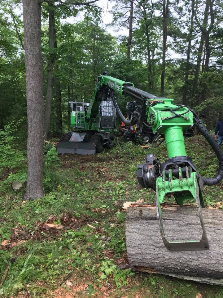 Gallery Mayer Tree Service, Inc.