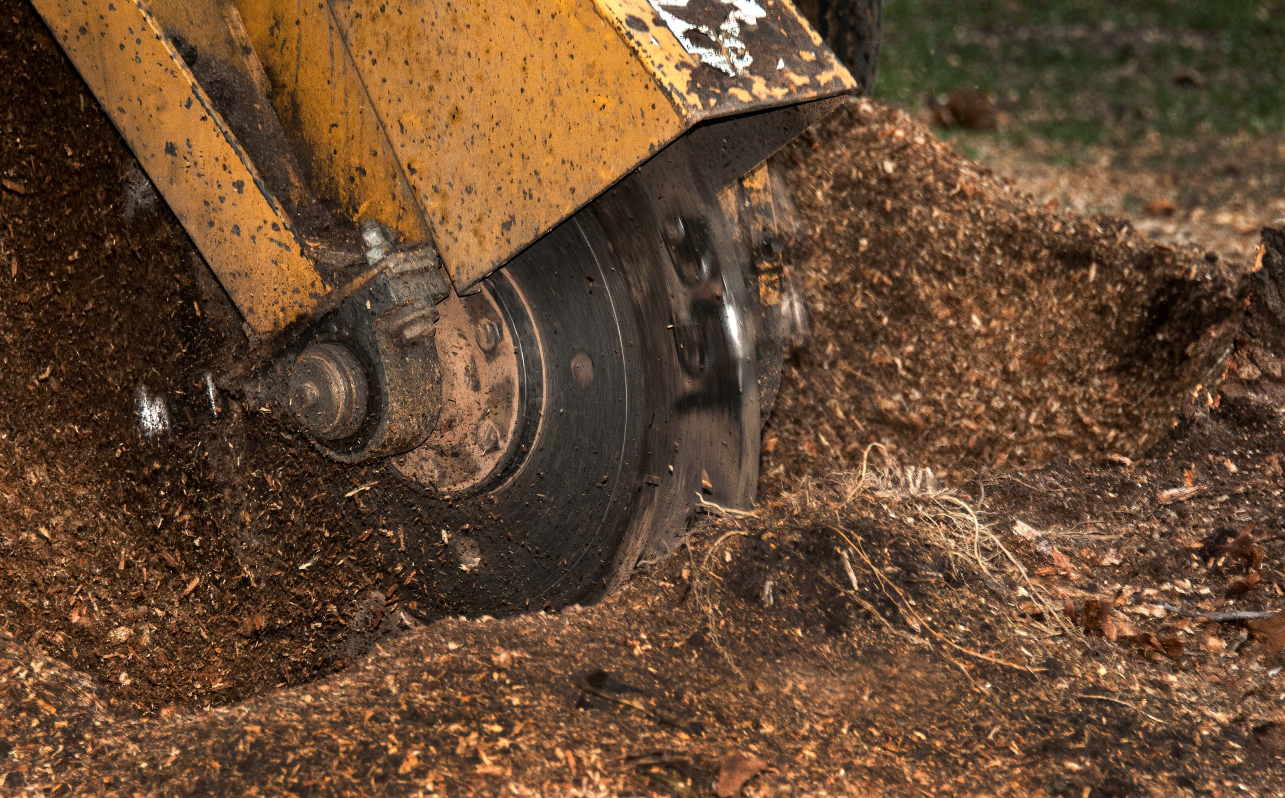 Best Massachusetts Stump Removal Mayer Tree Service, Inc.