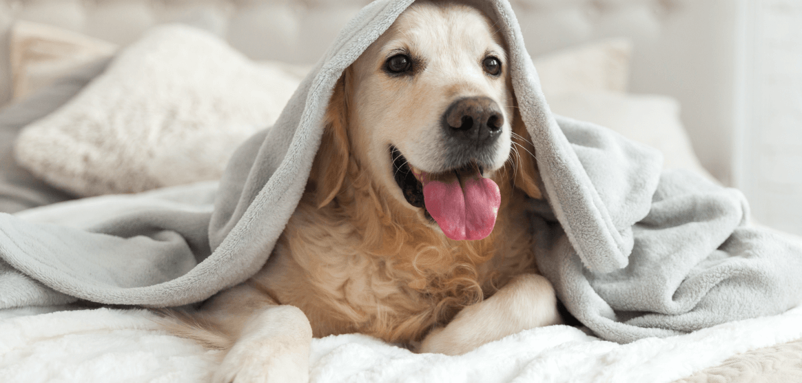 Supplies for Hotels & Restaurants Mayfair Hotel Supply