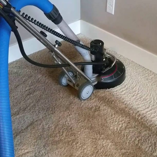 Mayfield Cleaning Mayfield Cleaning