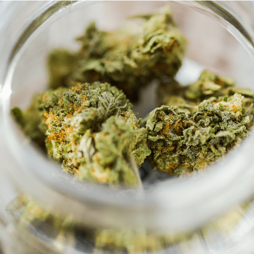 Worcester Dispensary Recreational / Recreational