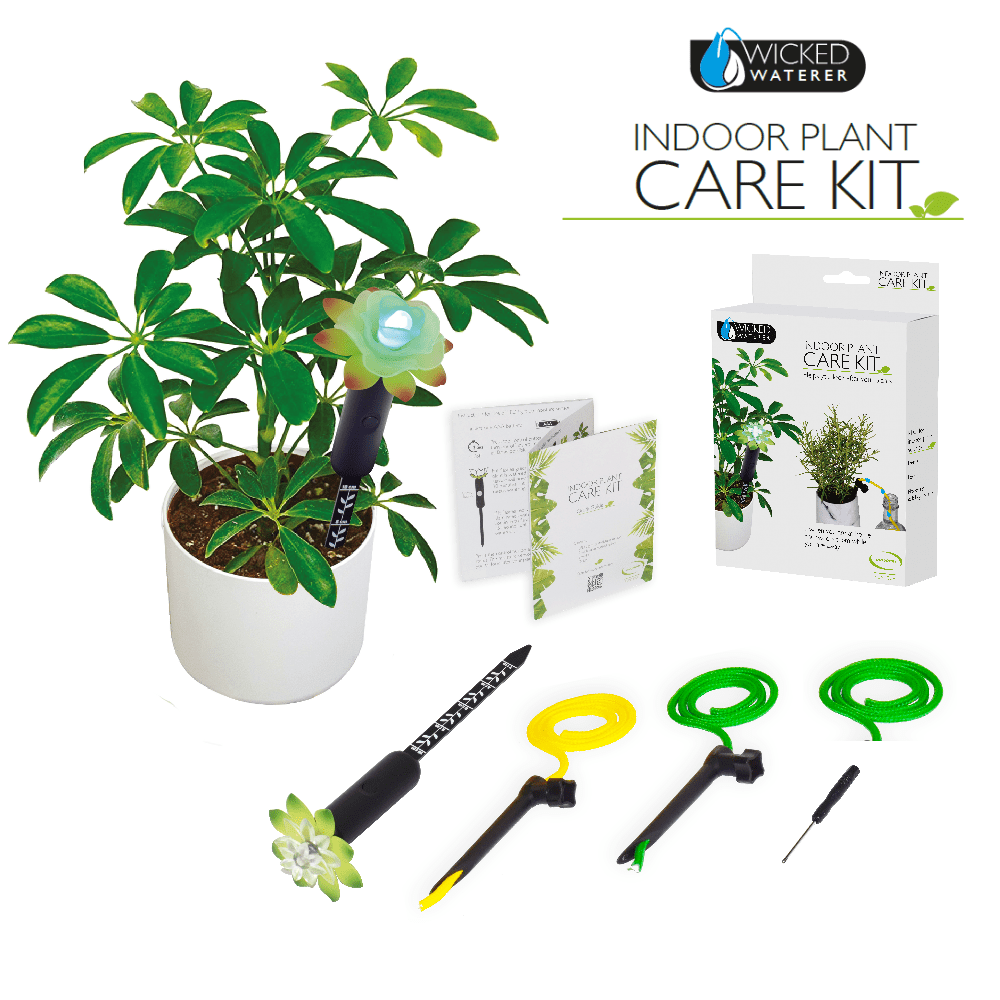 Plant Care Kit Mayhem UK Fun Tech