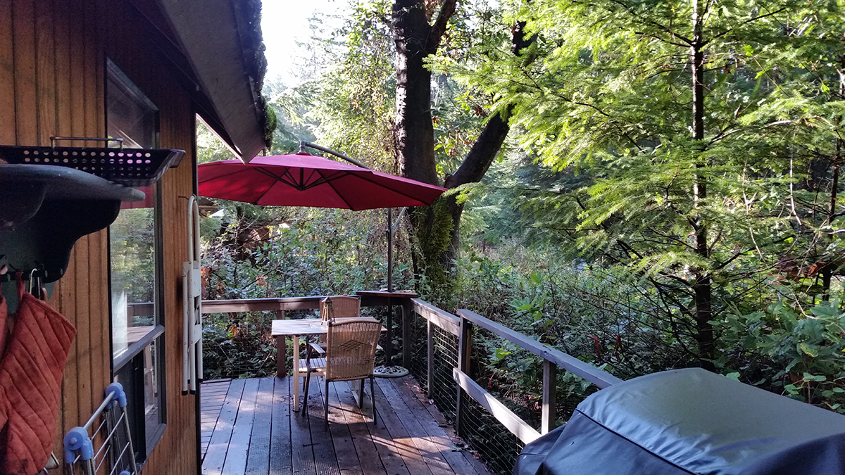 Gallery Mayne Island Cabin