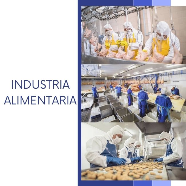 Los EPI adecuados para la industria alimentaria Mayper