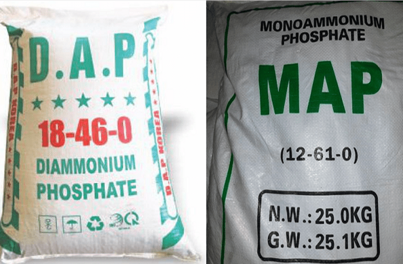 HOT Phân bón DAP, MAP nhập khẩu không phải chịu thuế tự vệ