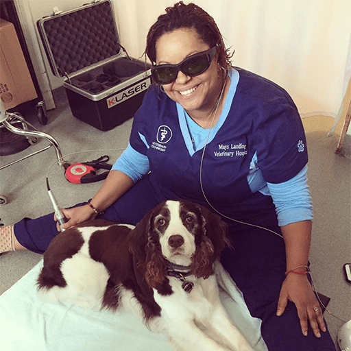 Jennifer Mays Landing Veterinary Hospital