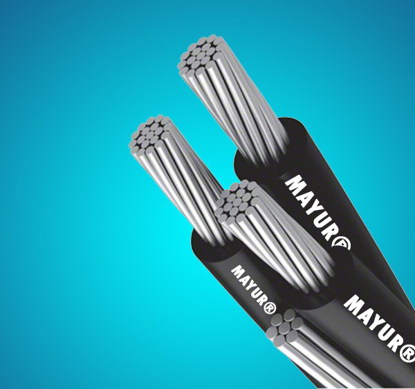 Product Mayur Electromeck Pvt. Ltd.