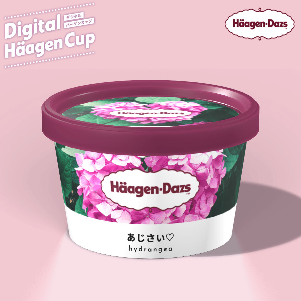 オリジナルハーゲンダッツのやり方！文字や写真の入れ方 ・作り方は？ツイッターで話題！ mayutre