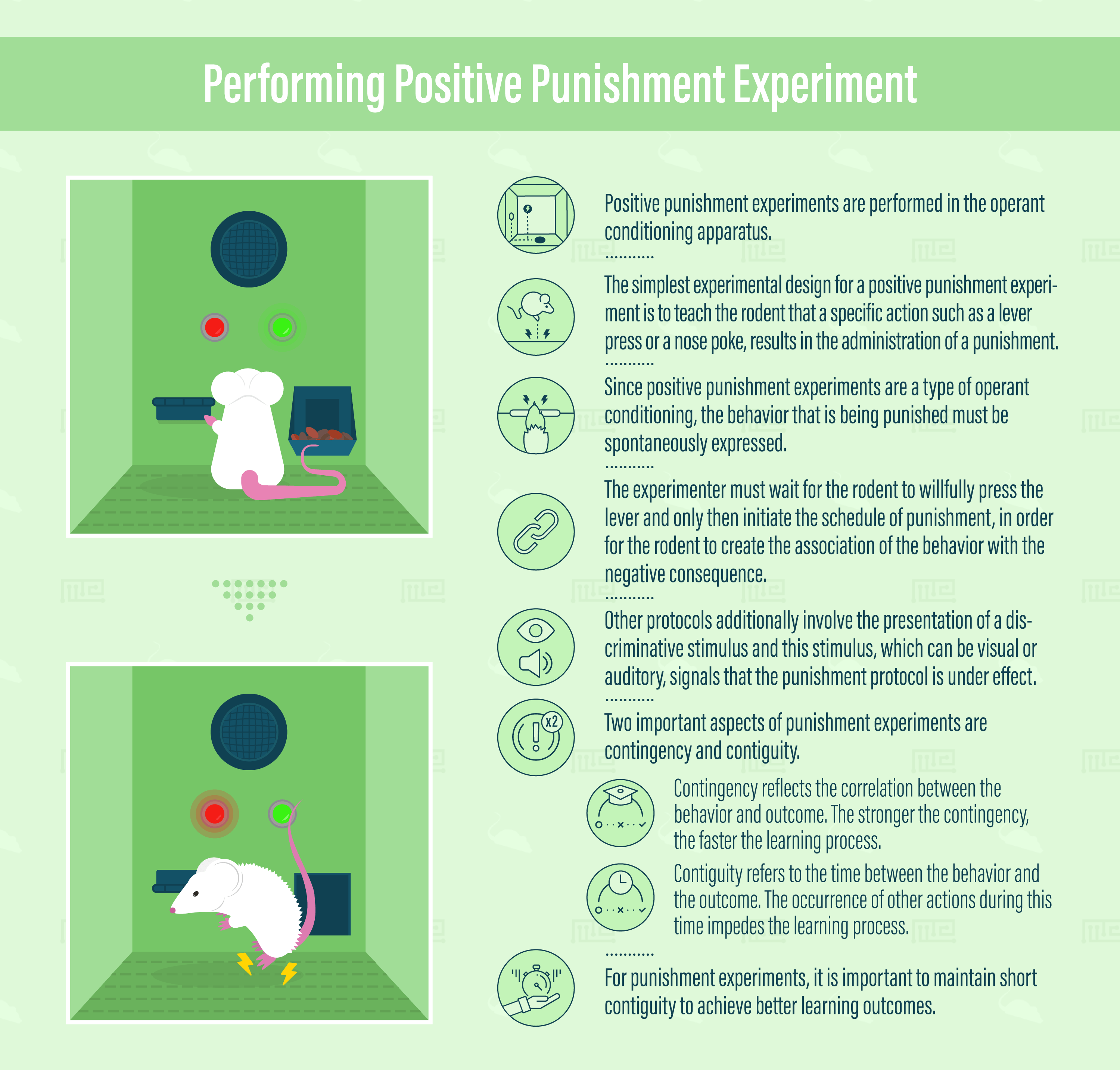 Positive Punishment Using Operant Conditioning Maze Engineers