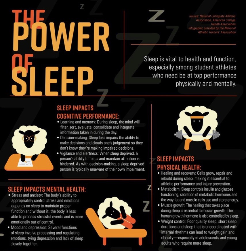 How Important Is Your Sleep? Mazrbody