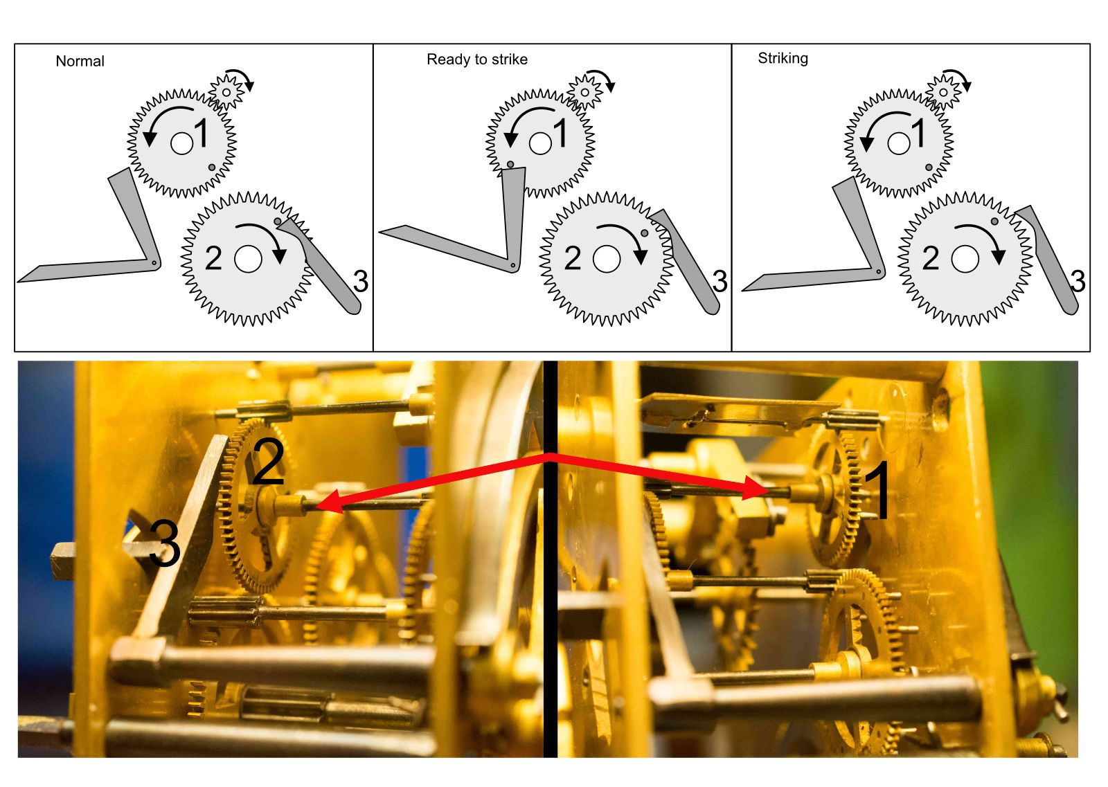 Wall Clock chiming problem NAWCC Forums