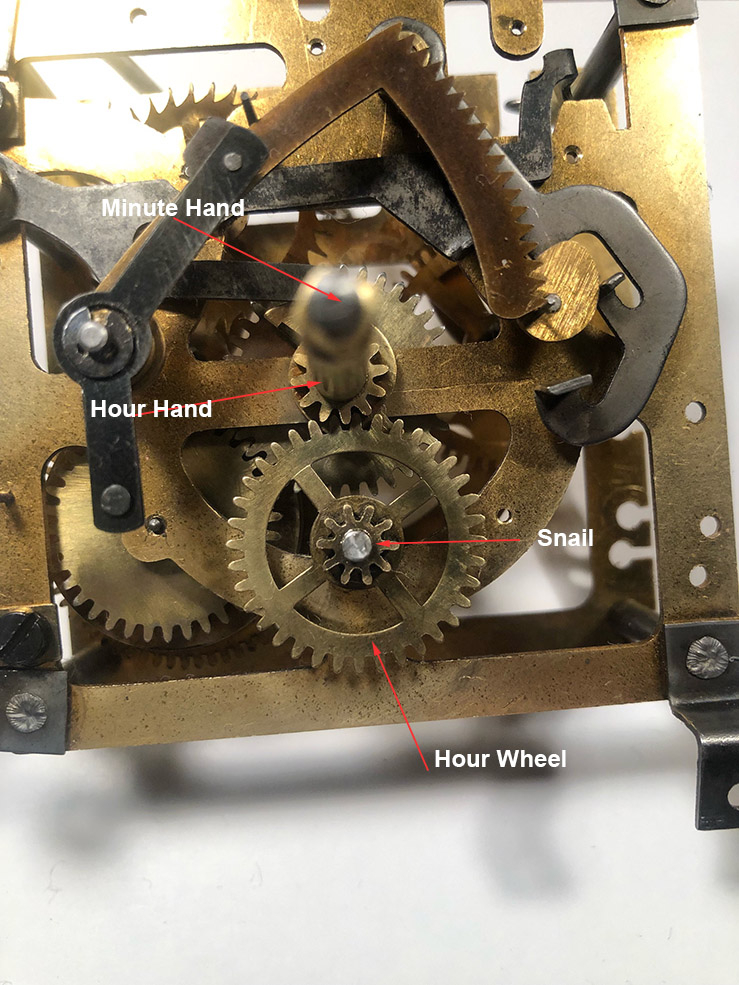 Cuckoo Regula cuckoo clock Hour Hand very intermittent NAWCC Forums