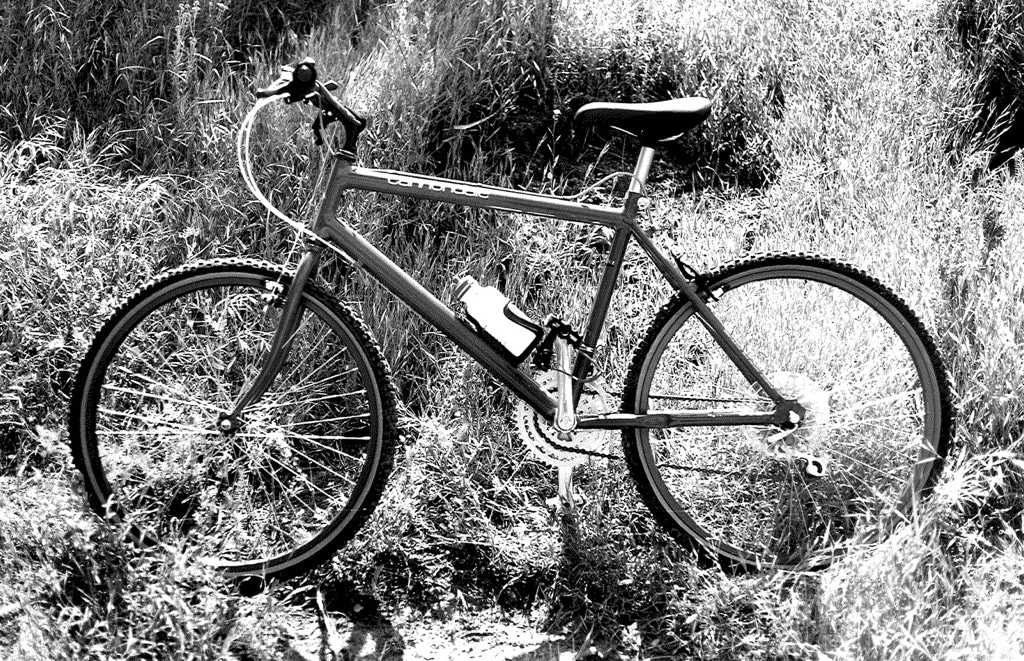 Joseph Banks Barsch nachwachsende Rohstoffe cannondale mountainbike 24