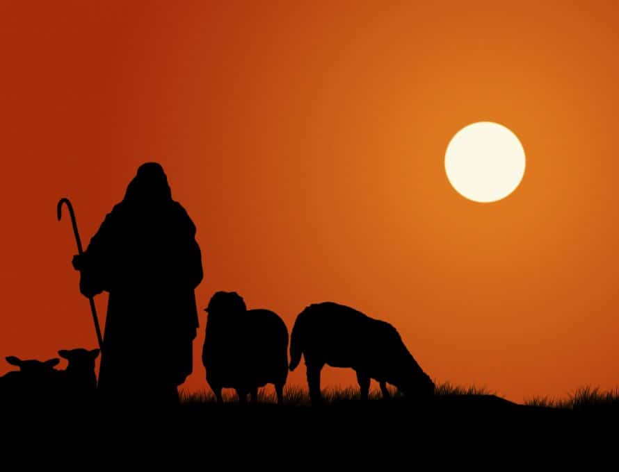 Called to shepherd the flock of Christ