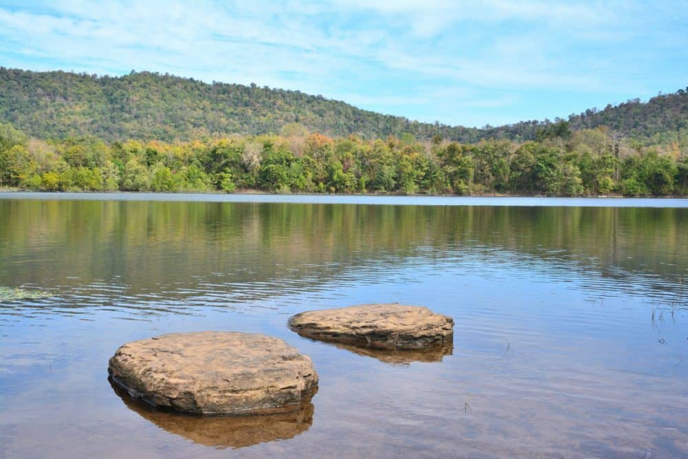 Board permits staff to participate at Windermere; 'Windermere Wilderness' sale considered