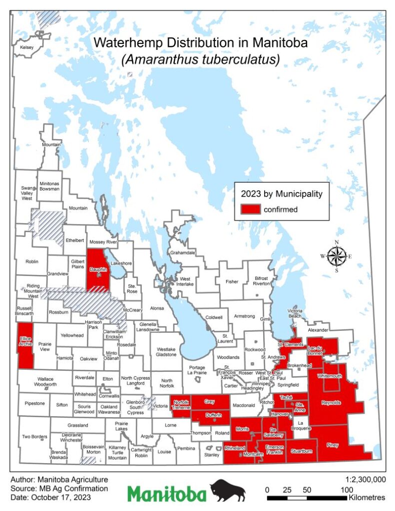 Spread of Waterhemp and Palmer Amaranth in Manitoba Manitoba Crop