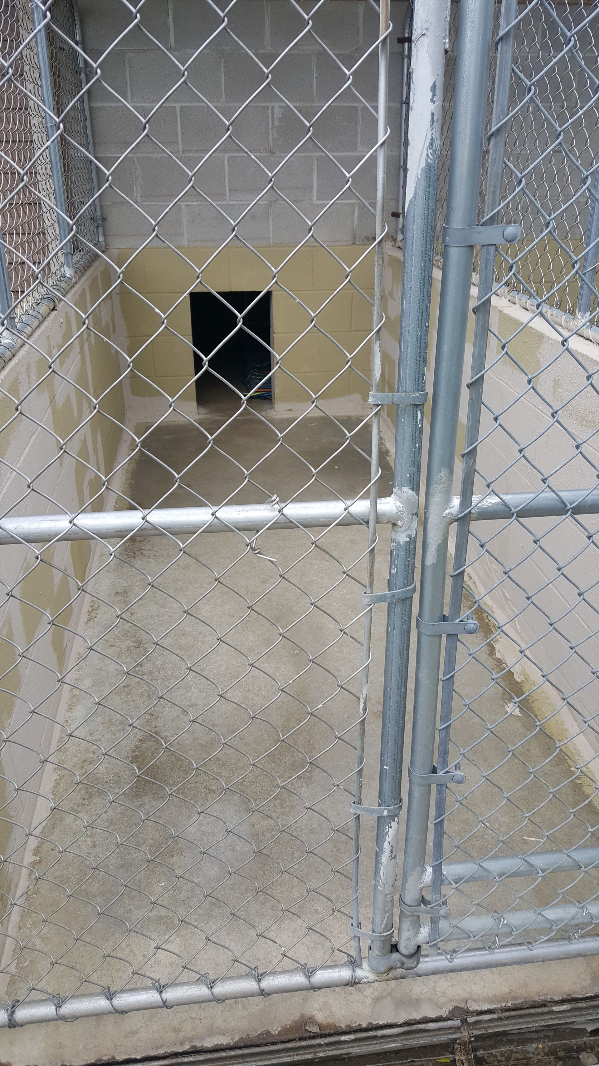 Boarding Man’s Best Friend Pet Resort