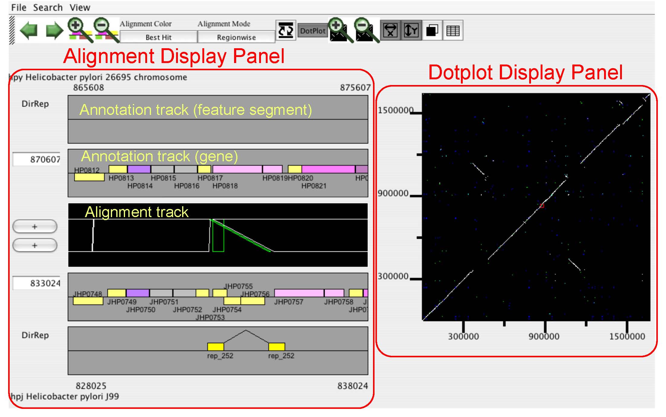 CGAT Comparative Genome Analysis Tool