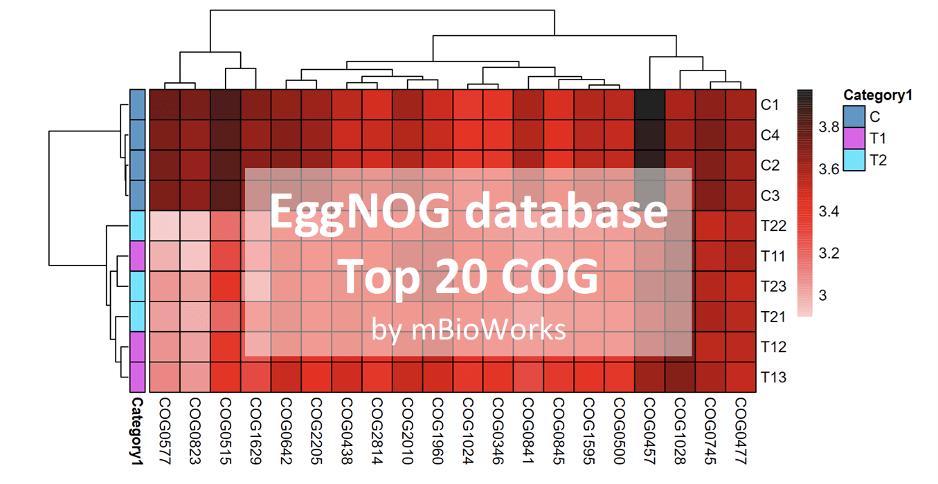 Environmental Metagenomics mBioWorks Copenhagen