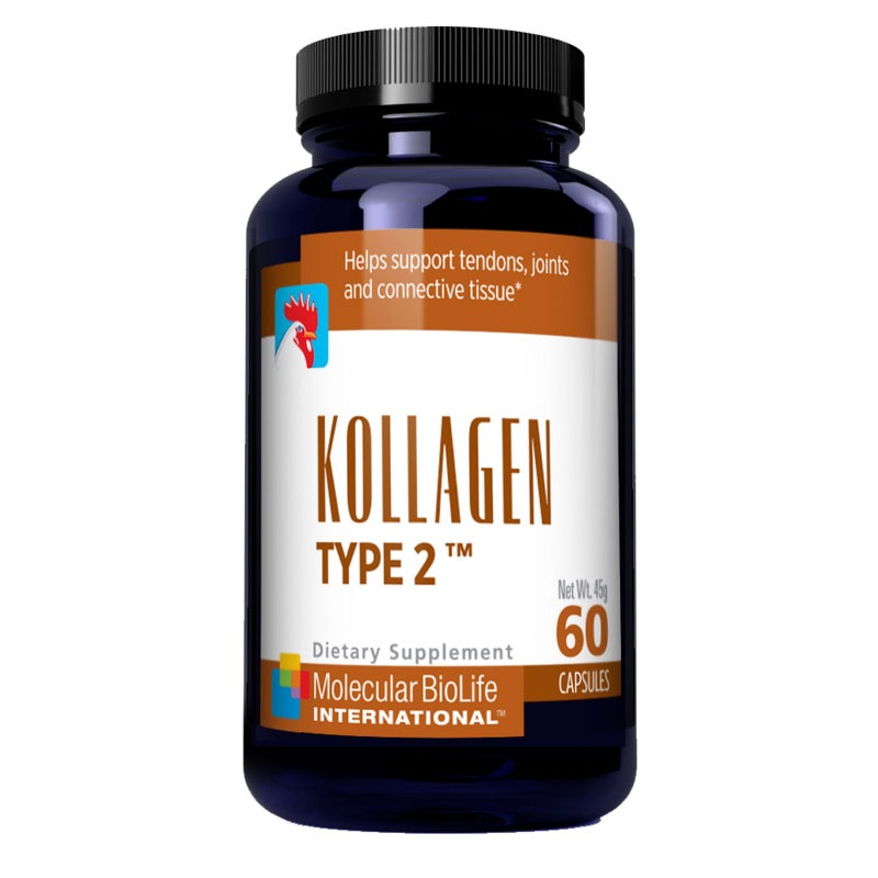 Kollagen Type 2 Molecular BioLife International