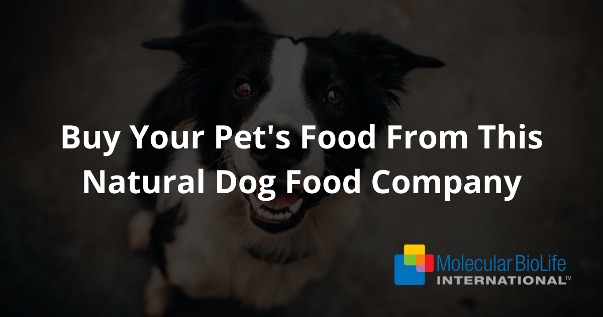 This Natural Dog Food Company Has Your Pet's Best Food Options