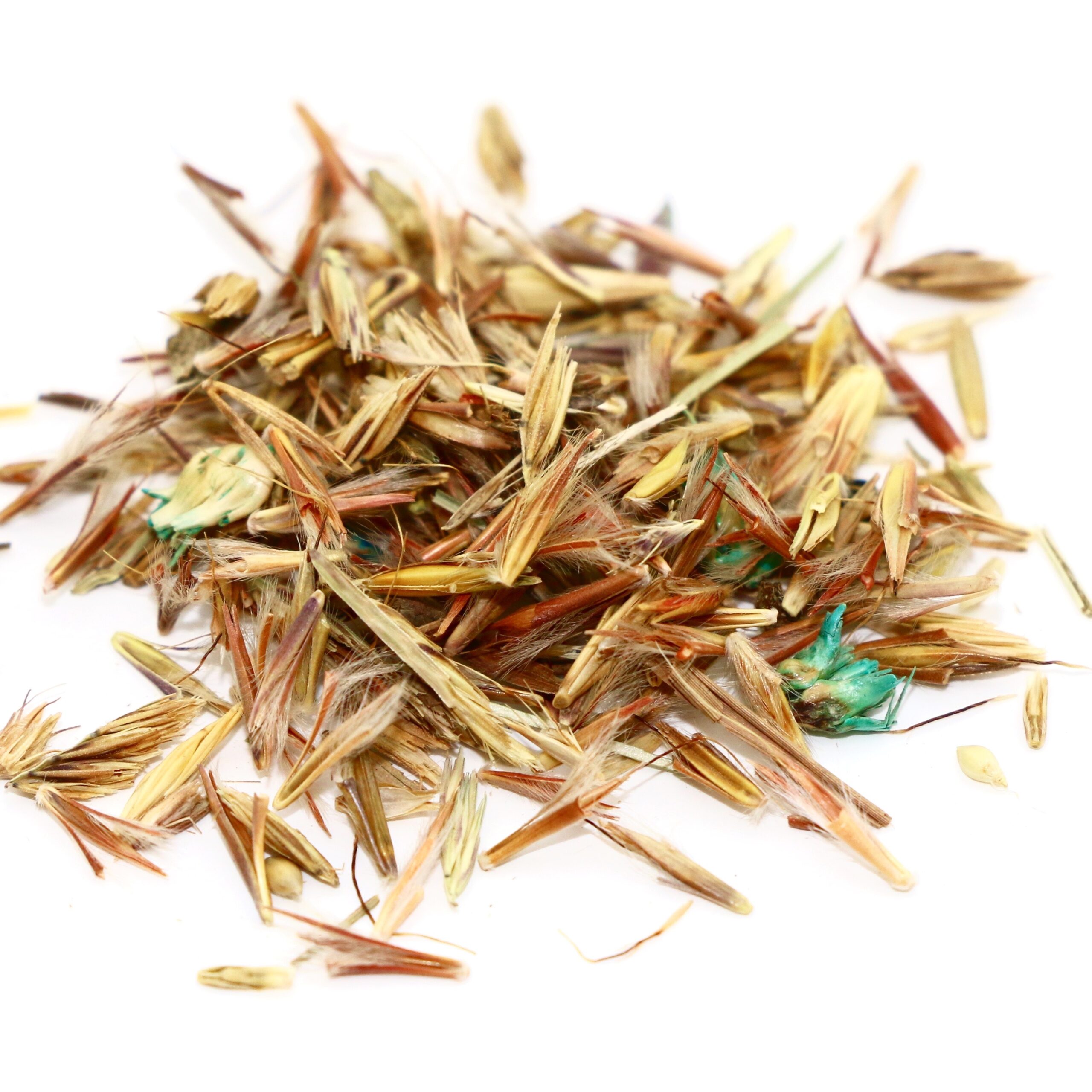 Native Prairie Grass Mix 10 lb bag MBS Seed