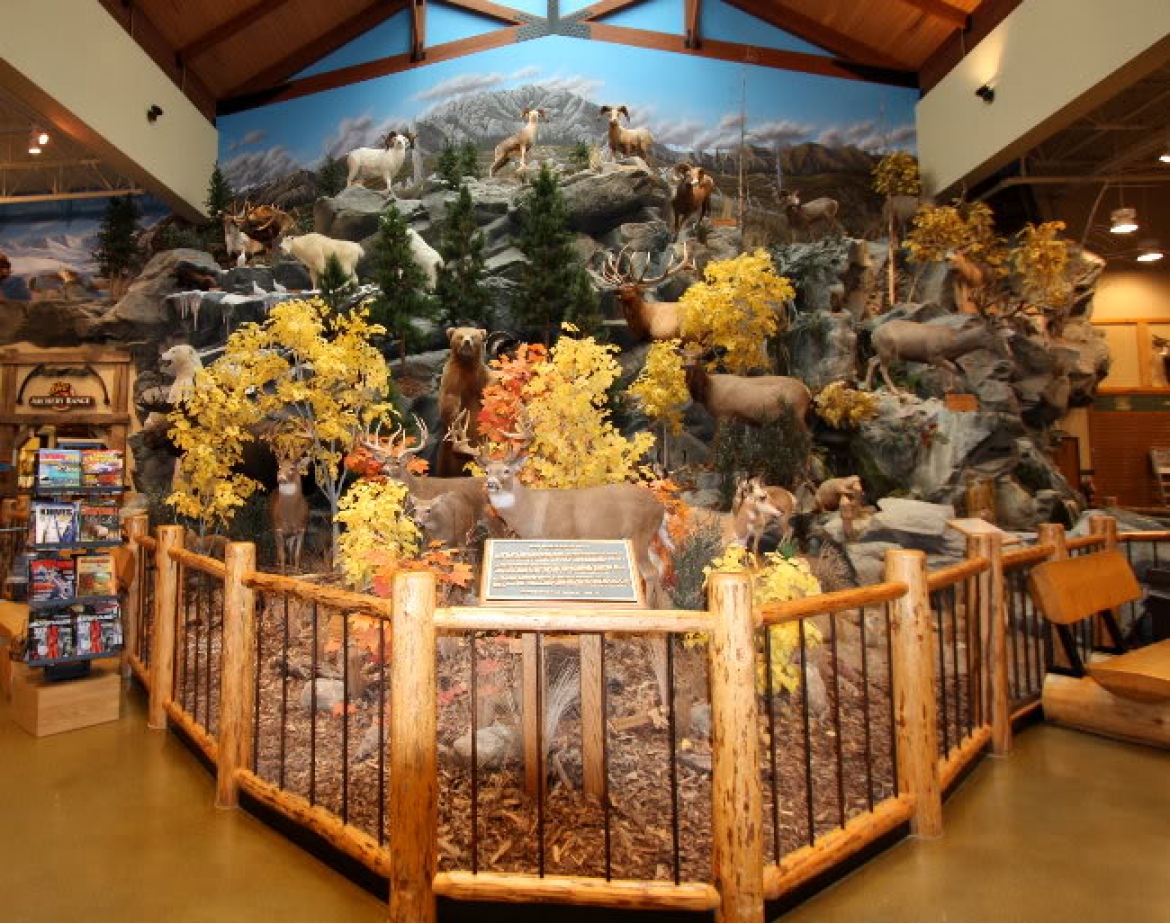 Cabela's Canada M Builds