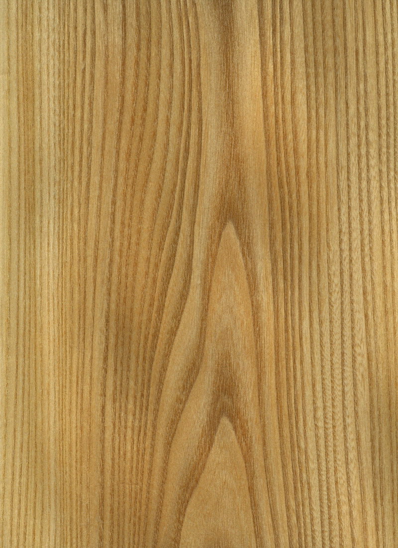 Red Elm Flat Cut M. Bohlke Corp. Veneer and Lumber