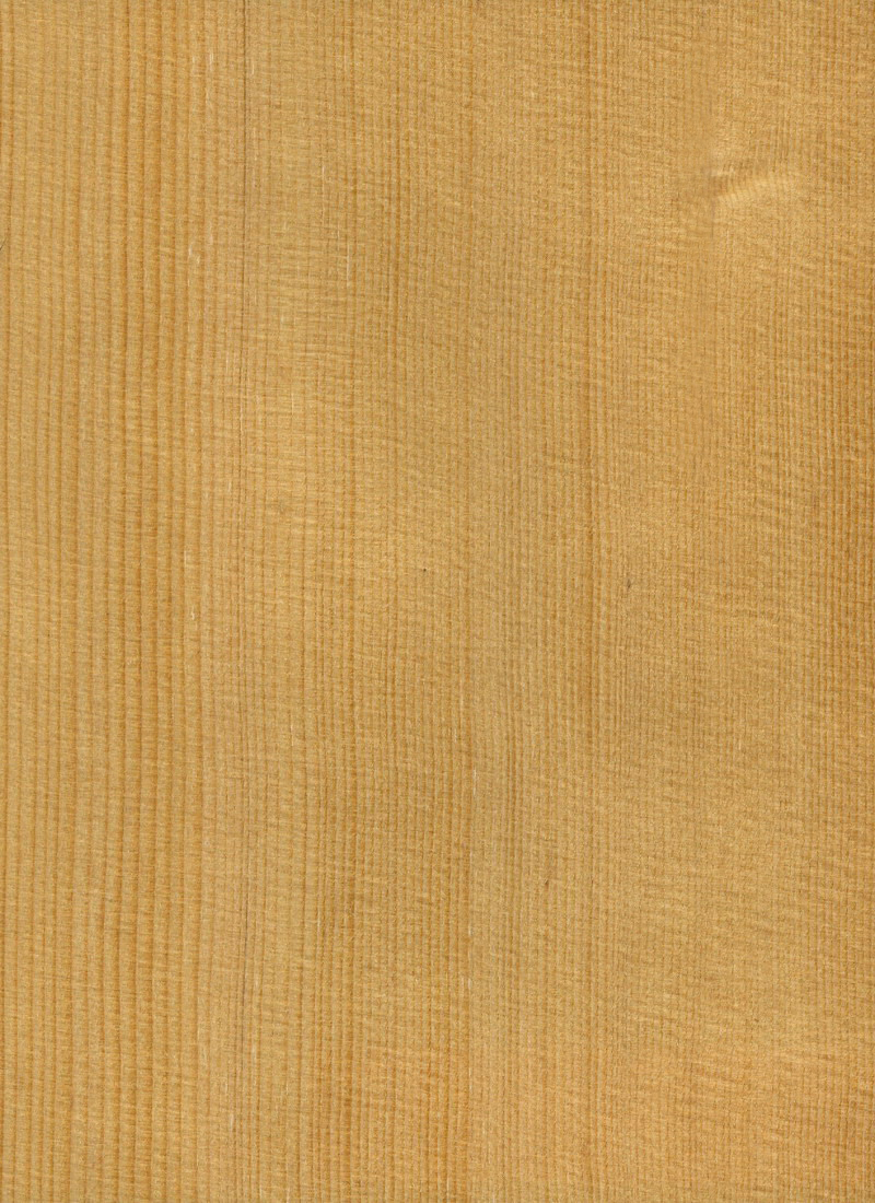 Hemlock Wood Veneer M. Bohlke Corp. Veneer and Lumber