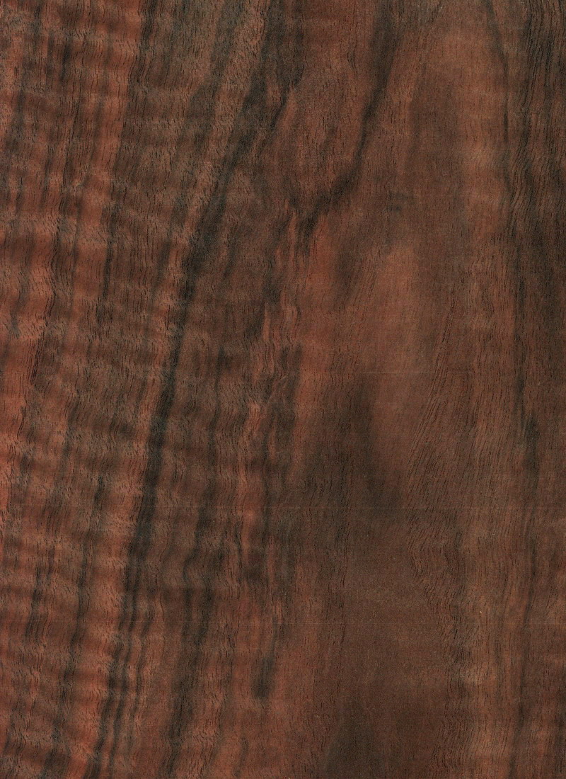 Walnut Circassian Veneer M. Bohlke Corp. Veneer and Lumber
