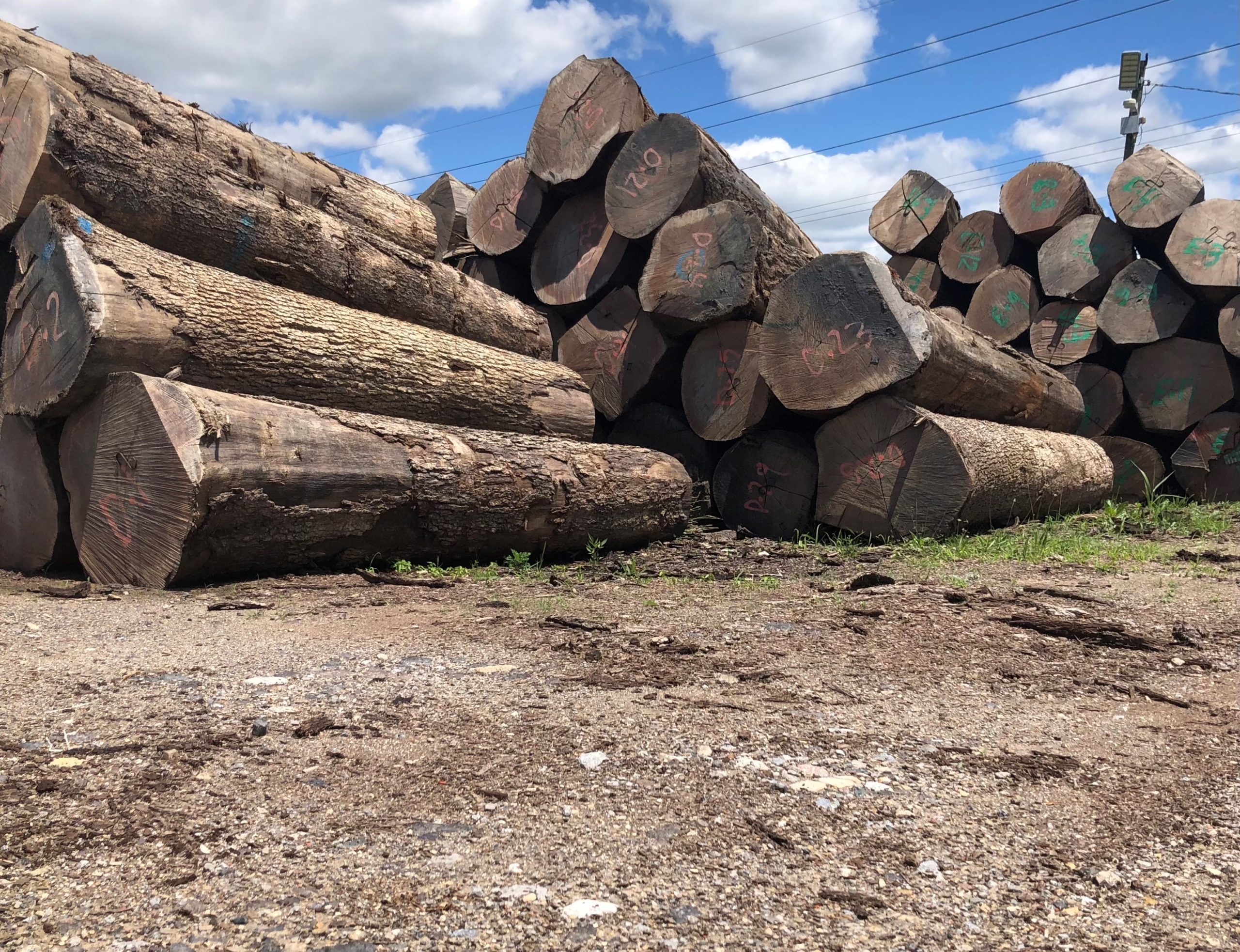 Logs Custom Cut, Purchase, Sell M. Bohlke Corp. Veneer and Lumber