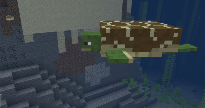Turtles Minecraft Addon / Mod 1.14.60, 1.13.1