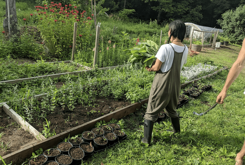 Tweefontein Herb Farm Inside + Out Upstate NY
