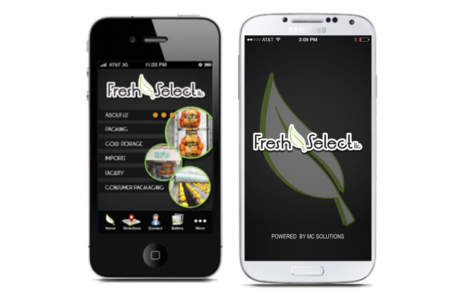 Application Development MC Solutions