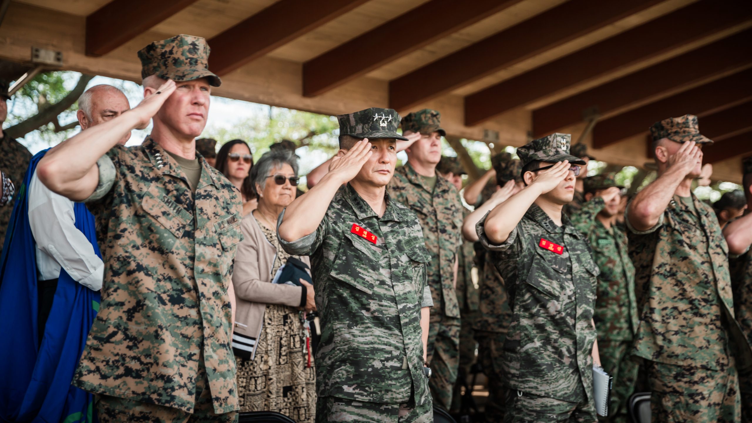 The Main Effort of the Marine Littoral Regiment MCA