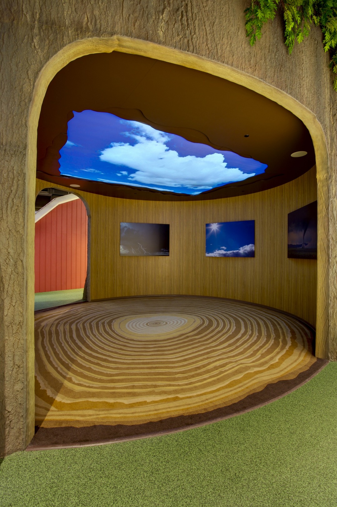 My Big Backyard Tellus Science Museum M. Catton & Co. Ideas Are Our Specialty