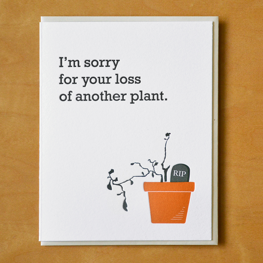 Loss Of Another Plant McBitterson's