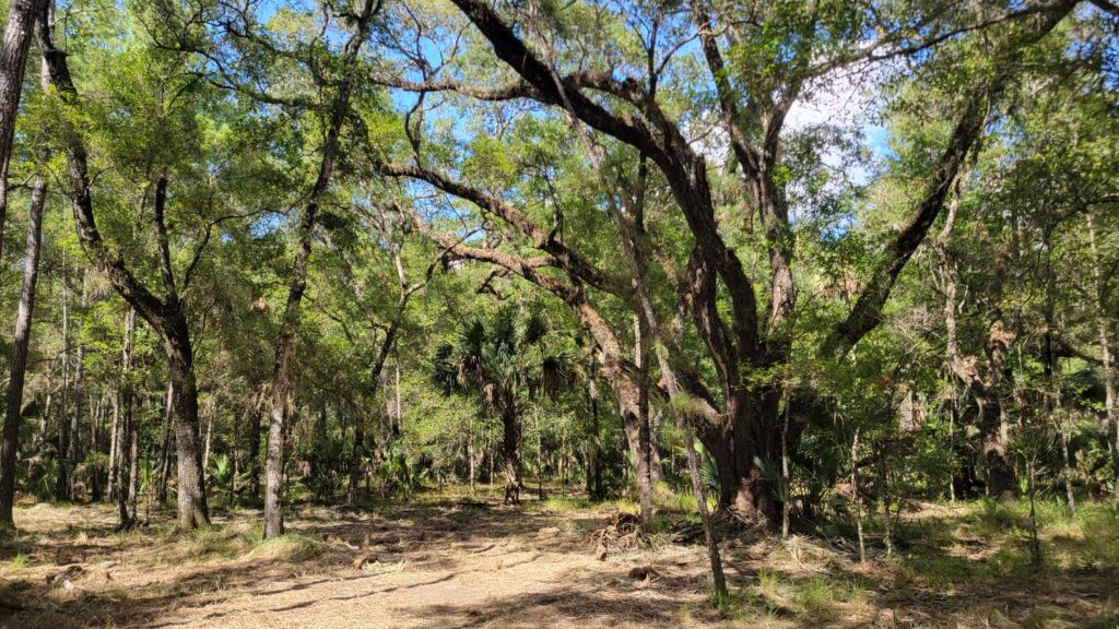 McBride Land & Development Co