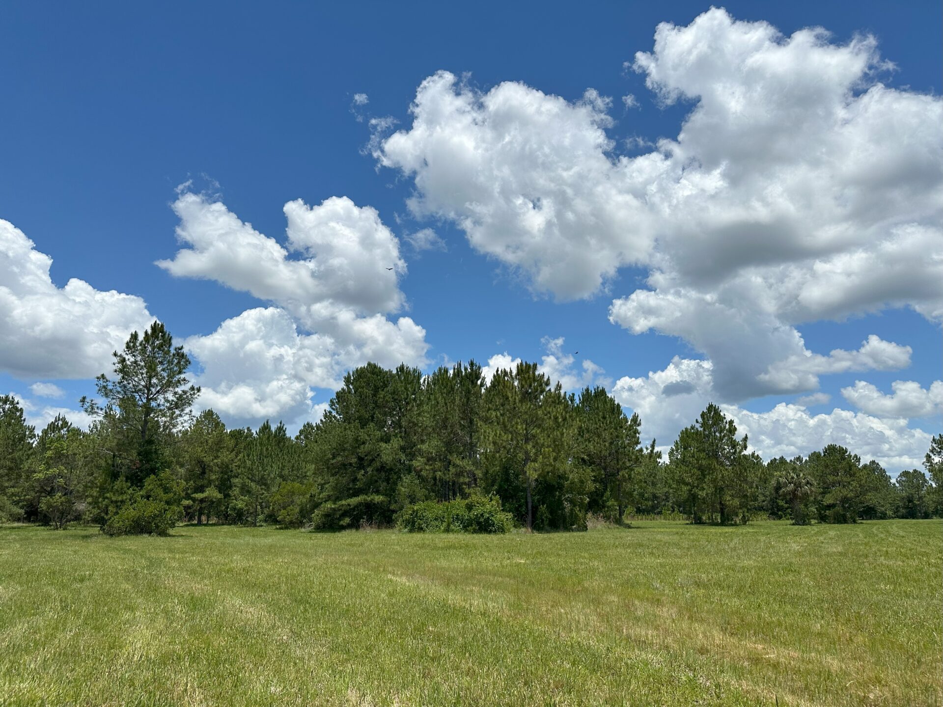 Maple Creek Farms 88 to 111± acres buy all or part starting at only